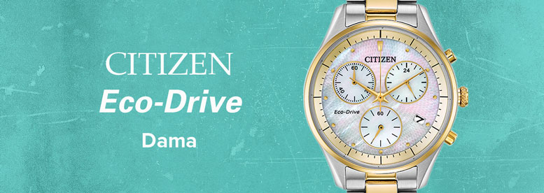 Ecodrive-dama_new