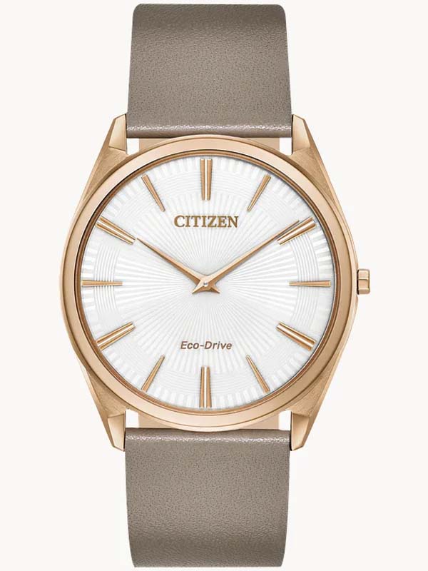 Citizen AR3076-08A