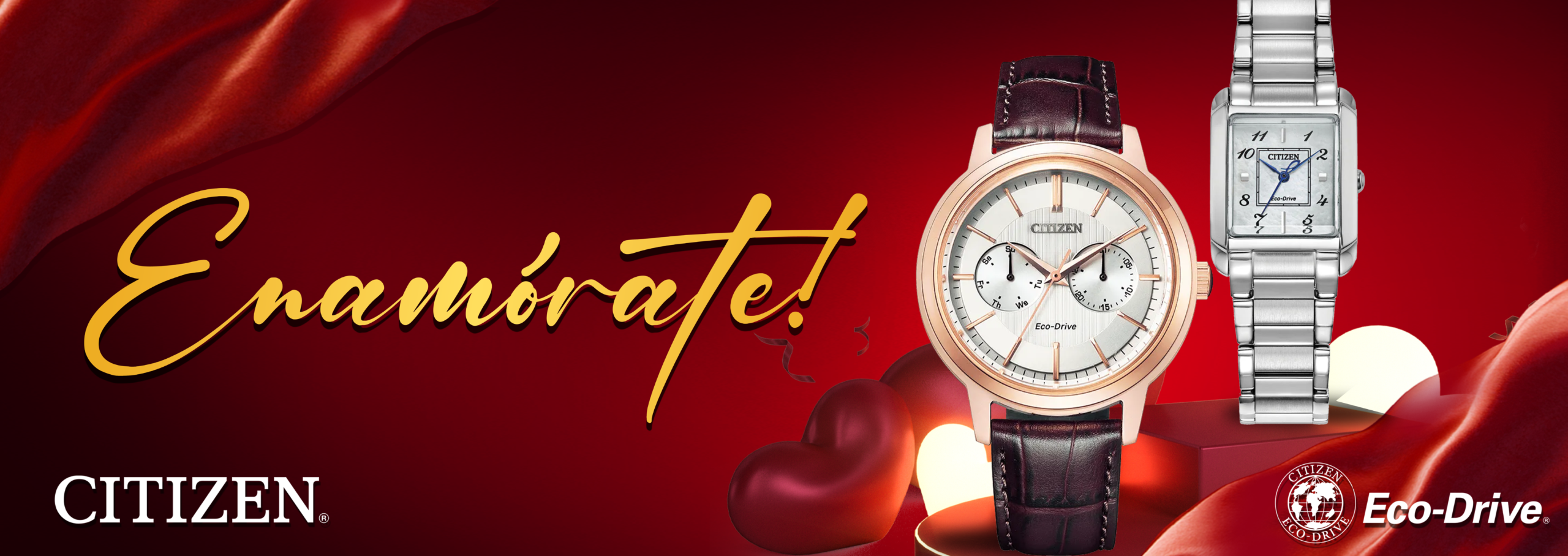 AFICHE FEB-77×27 CTZ